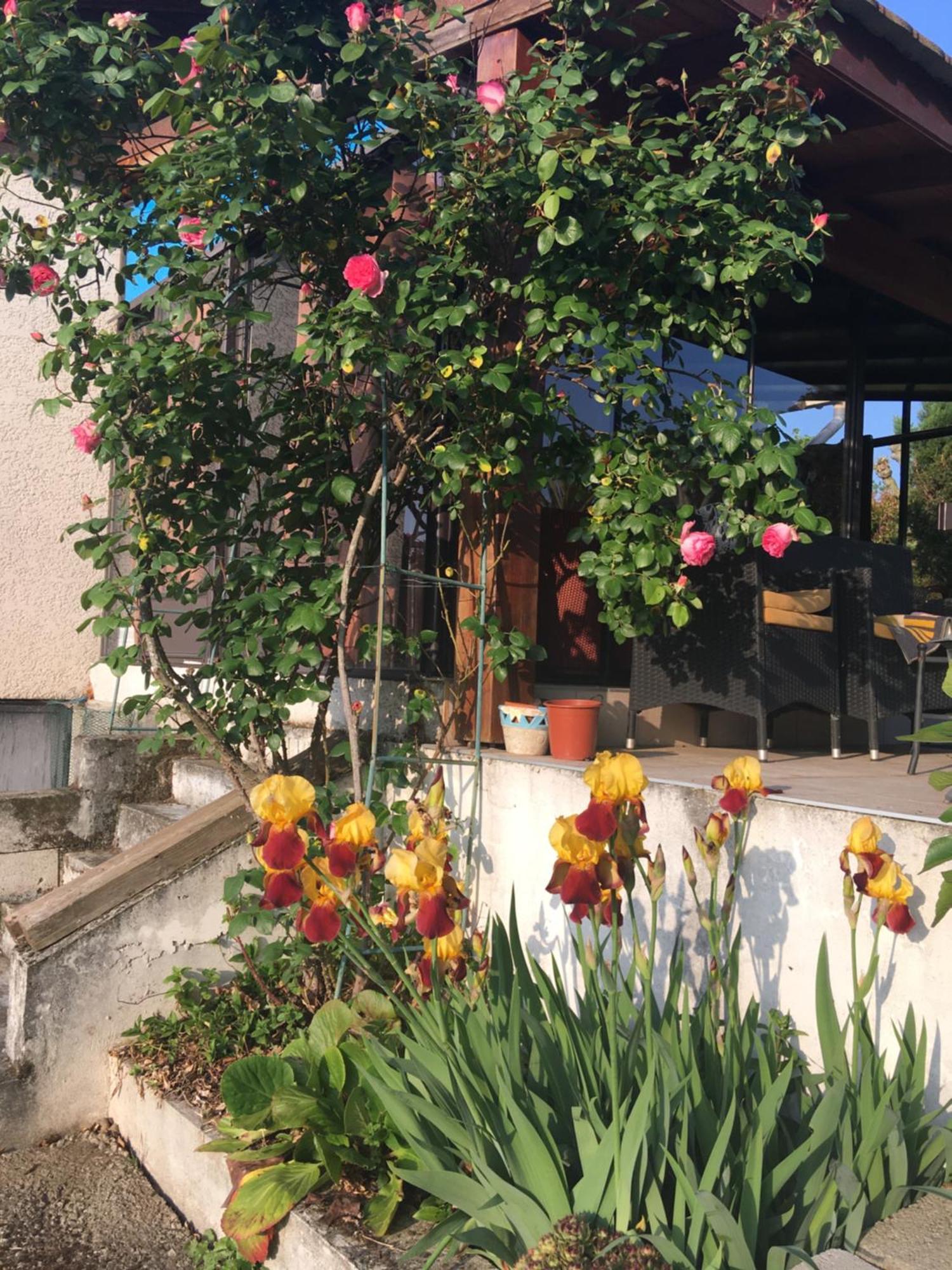 La Colombe Apartment Виен Екстериор снимка